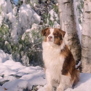 Meet your Posher, Kaylene